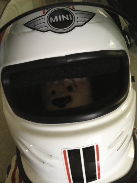 Some say he's just a stuffed monkey but all we know is he's called "The Stig!"