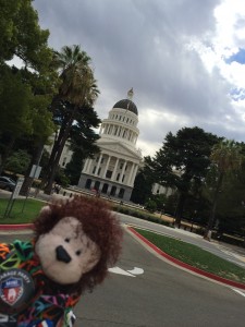 Cecil at the California State Capital building in Sacramento