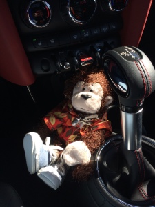 Cecil is still not happy with the loss of the "ginormous" cupholder/monkey seat that used to be in the R53